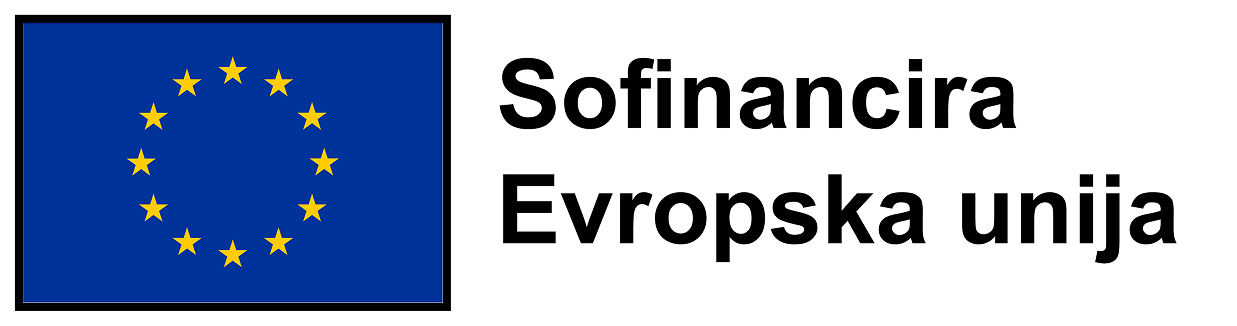 Sofinancira Evropska Unija logo